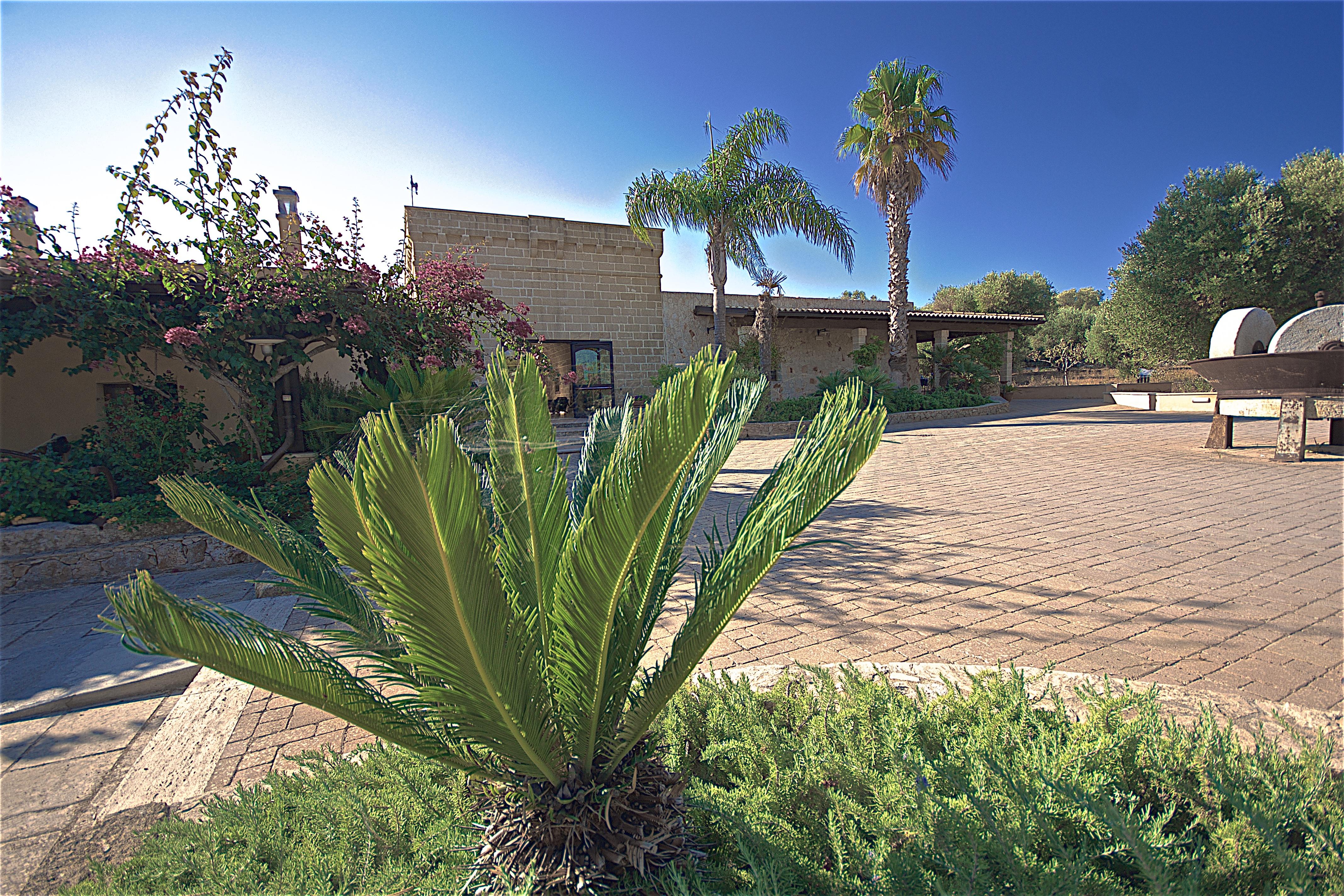 Hotel Masseria Le Pajare เปรสซิกเช ภายนอก รูปภาพ